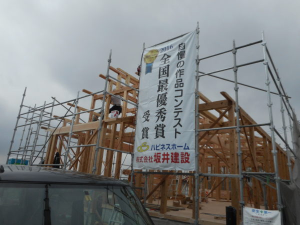 DSCN0424