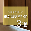 その家大丈夫？虫がでやすい家の特長のイメージ