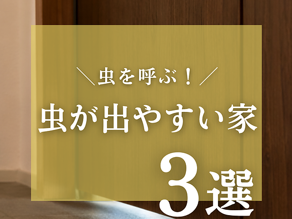 その家大丈夫？虫がでやすい家の特長の画像